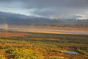 Images Dated 27th August 2011: Denali National Park, Alaska, tundra on the north side of the Alaska Range turns