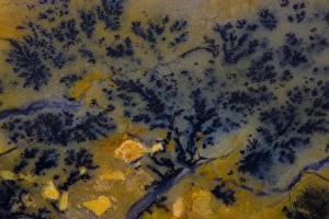 Jasper Prints: Dendritic Jasper