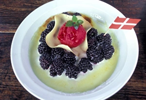Black Berry Prints: Denmark, Copenhagen. Blackberries a la Copenhagen