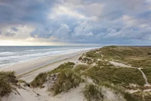 Denmark Collection: Denmark, Jutland, Danish Riviera, Hvide Sande, coastal dunes, dusk
