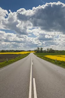 Denmark Collection: Denmark, Jutland, Hobro, country road with rapeseed fields, springtime