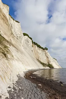 Denmark Collection: Denmark, Mon, Mons Klimt, 130 meter-high chalk cliffs from the shore