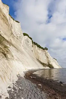 Images Dated 24th May 2015: Denmark, Mon, Mons Klimt, 130 meter-high chalk cliffs from the shore