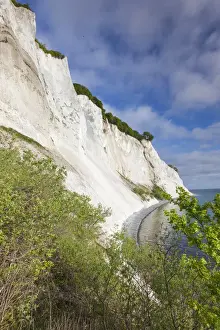 Denmark Prints: Denmark, Mon, Mons Klimt, 130 meter-high chalk cliffs from the shore