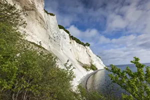 Images Dated 24th May 2015: Denmark, Mon, Mons Klimt, 130 meter-high chalk cliffs from the shore