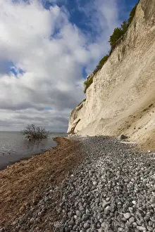 Images Dated 24th May 2015: Denmark, Mon, Mons Klimt, 130 meter-high chalk cliffs from the shore