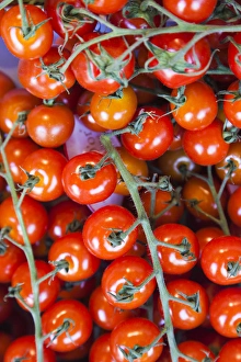 Images Dated 6th May 2015: Denmark, Zealand, Copenhagen, Torvehallerne KPH, new outdoor food market, tomatoes