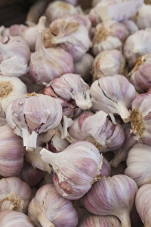 Images Dated 6th May 2015: Denmark, Zealand, Copenhagen, Torvehallerne KPH, new outdoor food market, onions