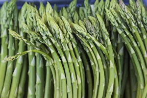 Images Dated 6th May 2015: Denmark, Zealand, Copenhagen, Torvehallerne KPH, new outdoor food market, asparagus