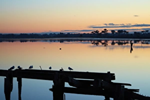 Twilight Prints: Derelict wharf and reflections in New River Estuary at dusk, Invercargill, Southland
