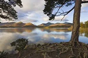 Lake District Prints: Derwentwater, Lake District, Cumbria, England