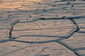 Flat Prints: Desert Playa at First Light, Mesquite Flat Dunes