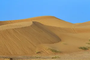 Images Dated 18th January 2017: Desert with sand. Abu Dhabi, United Arab Emirates