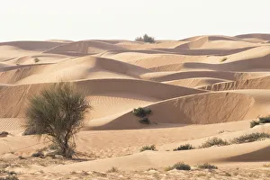 Abu Dhabi Prints: Desert with sand. Abu Dhabi, United Arab Emirates