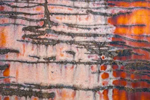 Details of rust and paint on metal