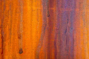 Images Dated 27th April 2019: Details of rust and paint on metal