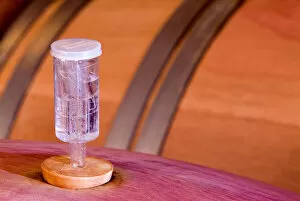A device that allows the CO2 (Carbon Dioxide) to escape the wine barrel and not allow