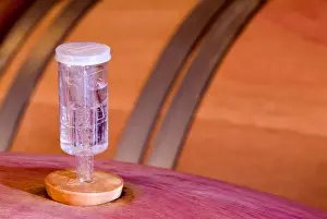 Aging Prints: A device that allows the CO2 (Carbon Dioxide) to escape the wine barrel and not allow