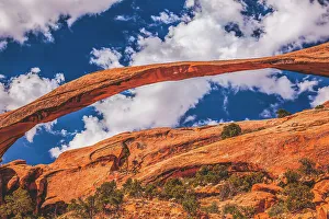 Devils Garden Prints: Devils Garden, Arches National Park, Moab, Utah, USA