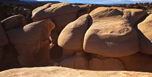 Devils Garden Prints: Devils Garden, Escalante Country, Utah
