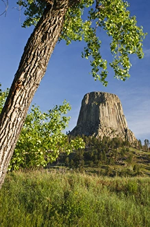 Black Hills Prints: Devils Tower, Devils Tower National Monument, Wyoming