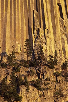 Images Dated 13th December 2010: Devils Tower National Monument, Wyoming, North America, USA. Hexagonal Columns