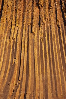 Images Dated 9th March 2011: Devils Tower National Monument, Wyoming, North America, USA. Hexagonal Columns
