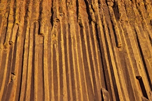 Images Dated 13th December 2010: Devils Tower National Monument, Wyoming, USA. Hexagonal Columns on Devils Tower