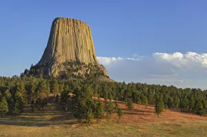 Igneous Prints: Devils Tower National Monument, Wyoming
