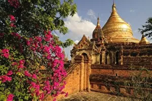 Images Dated 23rd December 2007: Dhamma Yazaka Pagoda at Bagan (Pagan), Myanmar (Burma)