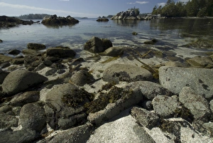 Images Dated 13th September 2006: Dicebox Island, Broken Island Group, Pacific Rim National Park Preserve, British Columbia