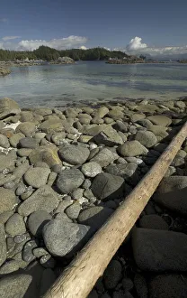 Images Dated 13th September 2006: Dicebox Island, Broken Island Group, Pacific Rim National Park Preserve, British Columbia