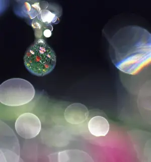 Steve Satushek Prints: Digital composite abstract of dew drops on flowers with flower field in one drop