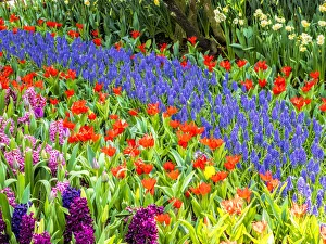 Images Dated 26th March 2015: Display garden in full bloom