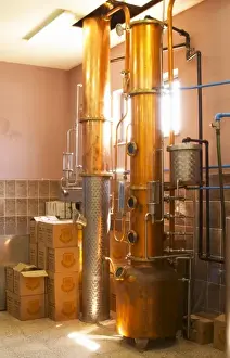 Contemporary Prints: Distillation machine still with steel and copper boiler and column to make grape juice spirit