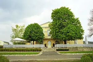 Tokaj Prints: At the Disznoko winery in Tokaj: the aAYellow Houseaa restaurant. The DisznokA