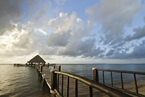 Palapa Prints: A dock and palapa, Placencia, Belize