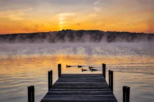 Images Dated 15th March 2022: Dock at sunrise