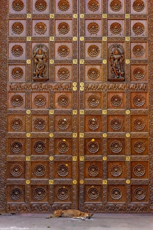 Images Dated 23rd September 2005: Dog and door at Temple in Sai Baba ashram, India