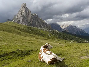Dolomite Prints: Dolomites at Passo Giau. Ra Gusela and Tofane. The Dolomites are part of the UNESCO World