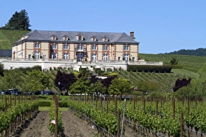 Grow Prints: Domaine Carneros Winery and vineyards in the Napa Valley, California, USA