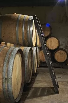 Domaine Clos Marie. Pic St Loup. Languedoc. Barrel cellar. France. Europe