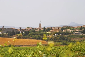 Cultivate Prints: Domaine d Aupilhac. Montpeyroux. Languedoc. France. Europe. Vineyard