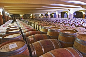 Images Dated 13th December 2006: Domaine Gerard Bertrand, Chateau l Hospitalet. La Clape. Languedoc. Barrel cellar
