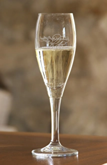 Domaine Jean Louis Denois. Limoux. Languedoc. A glass of sparkling Limoux wine. France
