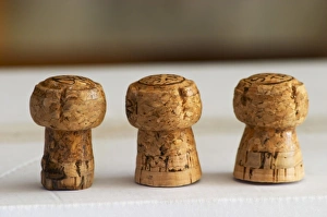 Domaine Jean Louis Denois. Limoux. Languedoc. Corks for sparkling Limoux wine showing