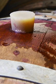 Domaine Jean Louis Denois. Limoux. Languedoc. Barrel cellar. France. Europe. Over-flowing
