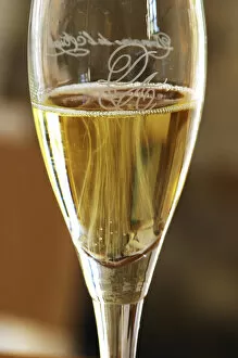 Domaine Jean Louis Denois. Limoux. Languedoc. A glass of sparkling Limoux wine. France