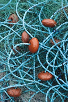 West Indies Prints: Dominica, Anse de Mai, fishing net
