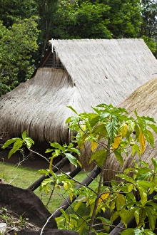 West Indies Prints: Dominica, Kalinago Barana Aute, Carib Heritage Village, thatched roof of traditional